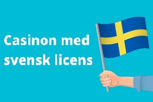 casino svensk spellicens